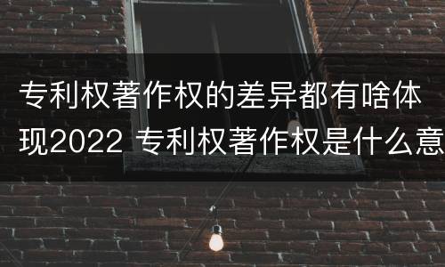 专利权著作权的差异都有啥体现2022 专利权著作权是什么意思