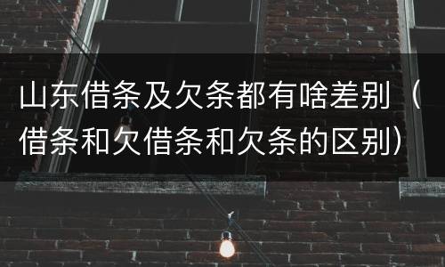 山东借条及欠条都有啥差别（借条和欠借条和欠条的区别）