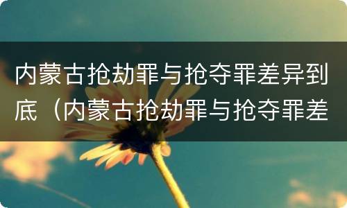 内蒙古抢劫罪与抢夺罪差异到底（内蒙古抢劫罪与抢夺罪差异到底有多大）