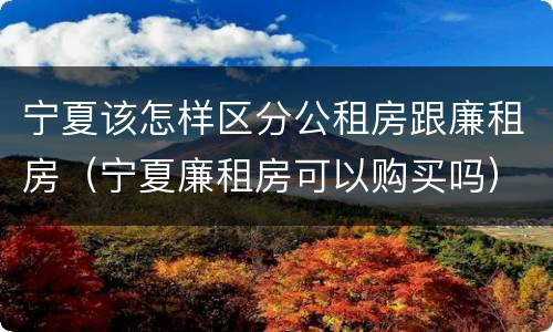 宁夏该怎样区分公租房跟廉租房（宁夏廉租房可以购买吗）