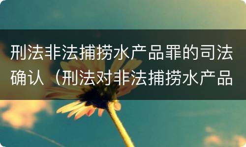 刑法非法捕捞水产品罪的司法确认（刑法对非法捕捞水产品罪的定罪标准）