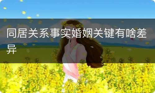 同居关系事实婚姻关键有啥差异