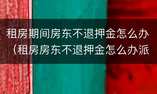 租房期间房东不退押金怎么办（租房房东不退押金怎么办派出所管吗）
