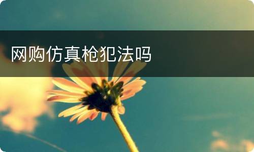 网购仿真枪犯法吗