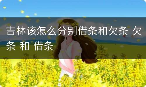 吉林该怎么分别借条和欠条 欠条 和 借条
