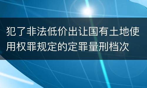 犯了非法低价出让国有土地使用权罪规定的定罪量刑档次