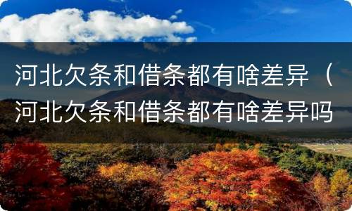 河北欠条和借条都有啥差异（河北欠条和借条都有啥差异吗）