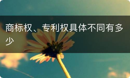 商标权、专利权具体不同有多少