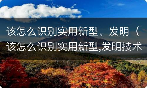 该怎么识别实用新型、发明（该怎么识别实用新型,发明技术）