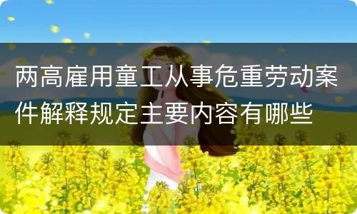 两高雇用童工从事危重劳动案件解释规定主要内容有哪些