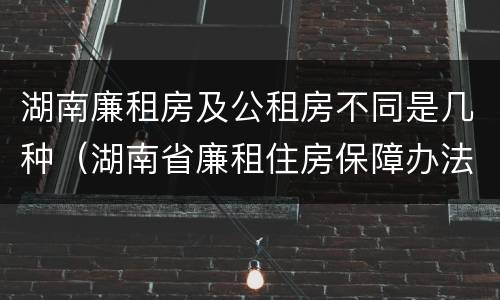 湖南廉租房及公租房不同是几种（湖南省廉租住房保障办法）