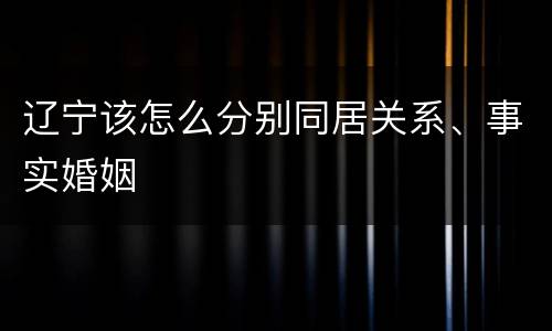辽宁该怎么分别同居关系、事实婚姻