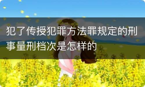 犯了传授犯罪方法罪规定的刑事量刑档次是怎样的