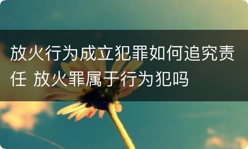 放火行为成立犯罪如何追究责任 放火罪属于行为犯吗