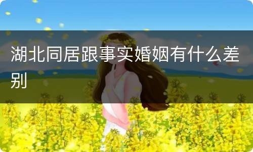湖北同居跟事实婚姻有什么差别