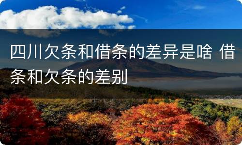 四川欠条和借条的差异是啥 借条和欠条的差别