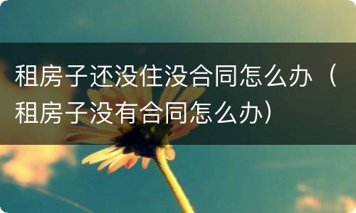 租房子还没住没合同怎么办（租房子没有合同怎么办）