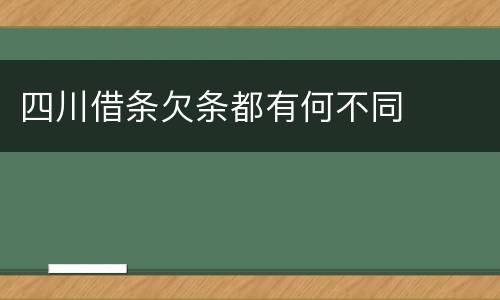 四川借条欠条都有何不同