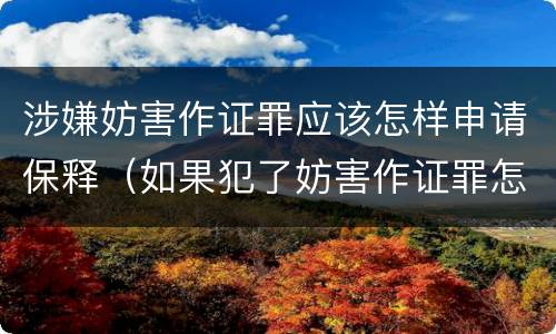 涉嫌妨害作证罪应该怎样申请保释（如果犯了妨害作证罪怎么办）