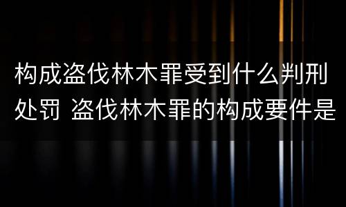 构成盗伐林木罪受到什么判刑处罚 盗伐林木罪的构成要件是