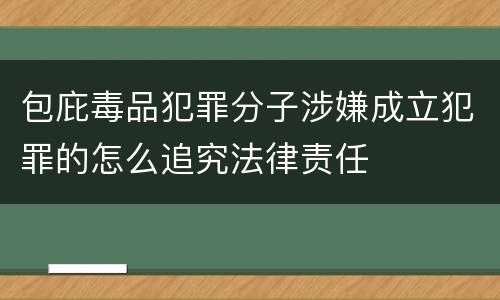 包庇毒品犯罪分子涉嫌成立犯罪的怎么追究法律责任