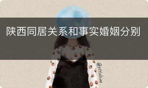 陕西同居关系和事实婚姻分别