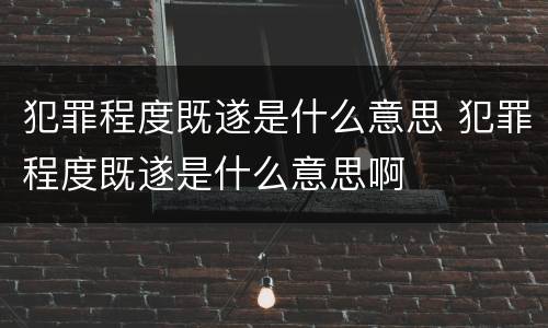 犯罪程度既遂是什么意思 犯罪程度既遂是什么意思啊