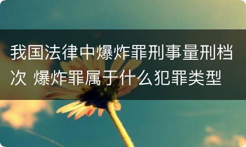 我国法律中爆炸罪刑事量刑档次 爆炸罪属于什么犯罪类型