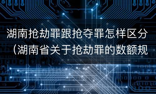 湖南抢劫罪跟抢夺罪怎样区分（湖南省关于抢劫罪的数额规定）