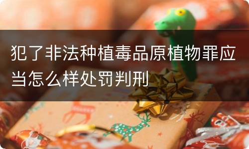 犯了非法种植毒品原植物罪应当怎么样处罚判刑