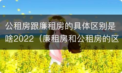 公租房跟廉租房的具体区别是啥2022（廉租房和公租房的区别?）