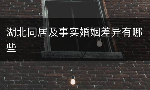 湖北同居及事实婚姻差异有哪些