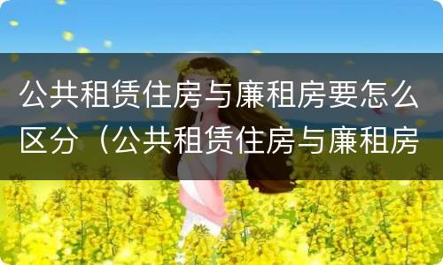 公共租赁住房与廉租房要怎么区分（公共租赁住房与廉租房要怎么区分出来）