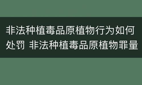 非法种植毒品原植物行为如何处罚 非法种植毒品原植物罪量刑标准