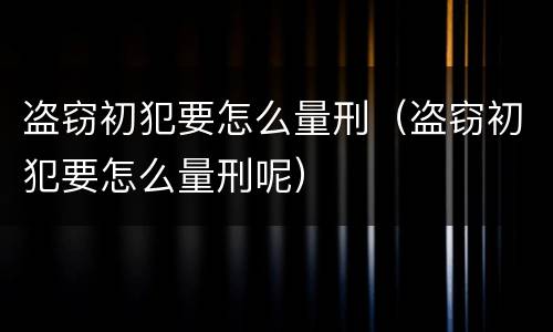 盗窃初犯要怎么量刑（盗窃初犯要怎么量刑呢）