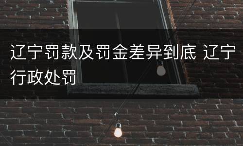 辽宁罚款及罚金差异到底 辽宁行政处罚