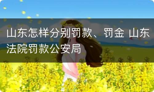 山东怎样分别罚款、罚金 山东法院罚款公安局