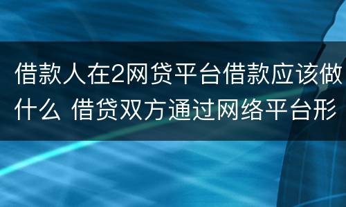 借款人在2网贷平台借款应该做什么 借贷双方通过网络平台形成借贷关系