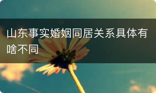 山东事实婚姻同居关系具体有啥不同