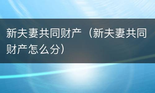 新夫妻共同财产（新夫妻共同财产怎么分）
