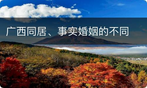 广西同居、事实婚姻的不同