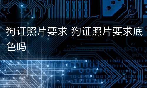 狗证照片要求 狗证照片要求底色吗