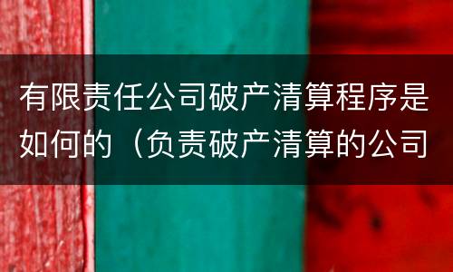 有限责任公司破产清算程序是如何的（负责破产清算的公司）