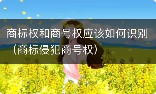 商标权和商号权应该如何识别（商标侵犯商号权）