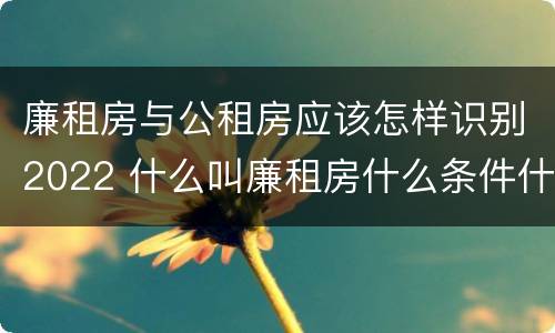 廉租房与公租房应该怎样识别2022 什么叫廉租房什么条件什么叫公租房