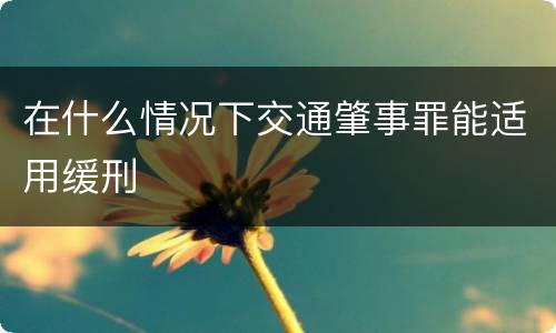 在什么情况下交通肇事罪能适用缓刑
