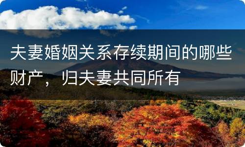 夫妻婚姻关系存续期间的哪些财产，归夫妻共同所有