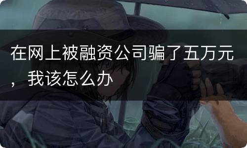 在网上被融资公司骗了五万元，我该怎么办