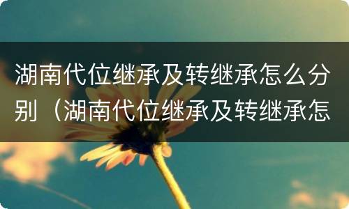 湖南代位继承及转继承怎么分别（湖南代位继承及转继承怎么分别办理手续）