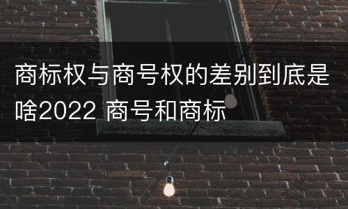 商标权与商号权的差别到底是啥2022 商号和商标